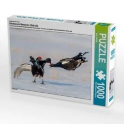 CALVENDO® Puzzle CALVENDO Puzzle Emotionale Momente: Birkwild - 1000 Teile Foto-Puzzle Für Glückliche Stunden