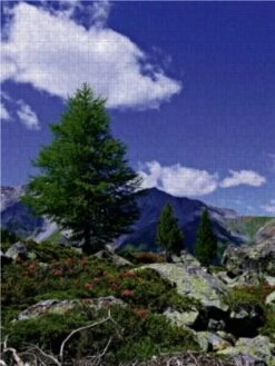 CALVENDO® Puzzle CALVENDO Puzzle Razoital - 1000 Teile Foto-Puzzle Für Glückliche Stunden -Spielzeug Geschaft 17257972 03