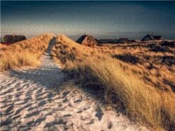 CALVENDO® Puzzle CALVENDO Puzzle Henne Strand - 1000 Teile Foto-Puzzle Für Glückliche Stunden 6 CALVENDO® Puzzle CALVENDO Puzzle Henne Strand - 1000 Teile Foto-Puzzle Für Glückliche Stunden -Spielzeug Geschaft 17260905 03