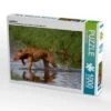 CALVENDO® Puzzle CALVENDO Puzzle Jagdfieber - 1000 Teile Foto-Puzzle Für Glückliche Stunden