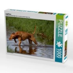 CALVENDO® Puzzle CALVENDO Puzzle Jagdfieber - 1000 Teile Foto-Puzzle Für Glückliche Stunden