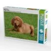 CALVENDO® Puzzle CALVENDO Puzzle Magyar Vizsla - 1000 Teile Foto-Puzzle Für Glückliche Stunden