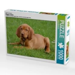 CALVENDO® Puzzle CALVENDO Puzzle Magyar Vizsla - 1000 Teile Foto-Puzzle Für Glückliche Stunden
