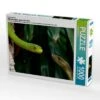 CALVENDO® Puzzle CALVENDO Puzzle Giftschlangen, Ganz Nah Dran - 1000 Teile Foto-Puzzle Für Glückliche Stunden