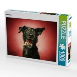 CALVENDO® Puzzle CALVENDO Puzzle Mischling - 1000 Teile Foto-Puzzle Für Glückliche Stunden