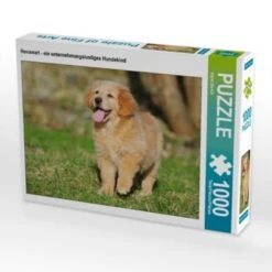 CALVENDO® Puzzle CALVENDO Puzzle Hovawart - Ein Unternehmungslustiges Hundekind - 1000 Teile Foto-Puzzle Für Glückliche Stunden