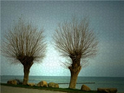 CALVENDO® Puzzle CALVENDO Puzzle Zwei Weidenbäume - 1000 Teile Foto-Puzzle Für Glückliche Stunden 3 CALVENDO® Puzzle CALVENDO Puzzle Zwei Weidenbäume - 1000 Teile Foto-Puzzle Für Glückliche Stunden - Image 3