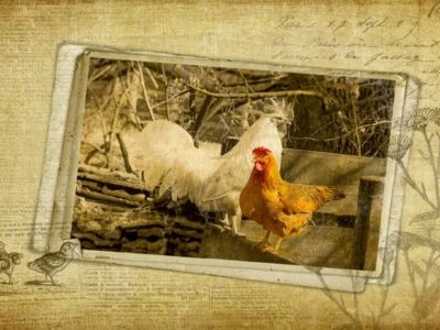 CALVENDO® Puzzle CALVENDO Puzzle French Vintage Country - 1000 Teile Foto-Puzzle Für Glückliche Stunden 2 CALVENDO® Puzzle CALVENDO Puzzle French Vintage Country - 1000 Teile Foto-Puzzle Für Glückliche Stunden - Image 2