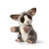 WWF Plüsch Tier Buschbaby [Galago] (23cm)