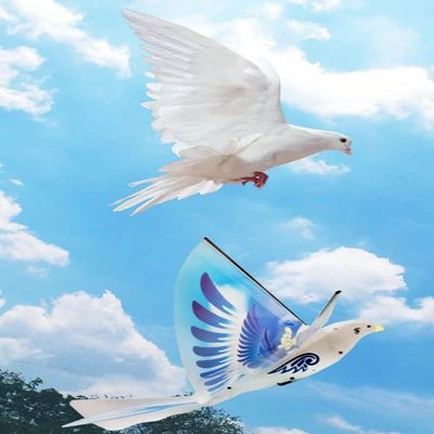 Brighten Elektrisches Weltraumvogelflugzeug Für Kinder Elektrisches Flugzeugspielzeug Für Kinder 2 Brighten Elektrisches Weltraumvogelflugzeug Für Kinder Elektrisches Flugzeugspielzeug Für Kinder - Image 2