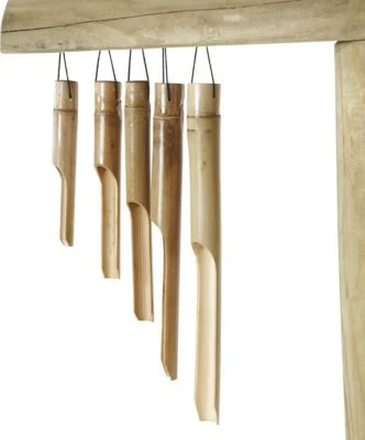 Plum Discovery Tafel 2 Plum Discovery Tafel - Image 2