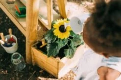 Plum Discovery Tafel 11 Plum Discovery Tafel -Spielzeug Geschaft 5276478 06