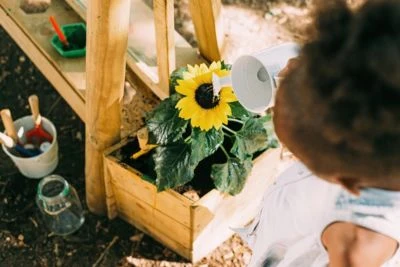 Plum Discovery Tafel 6 Plum Discovery Tafel - Image 6